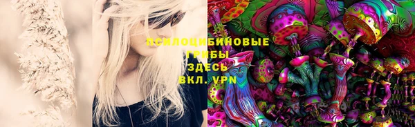 ALPHA PVP Алексин