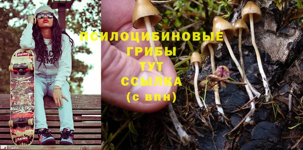 соль курить ск Алзамай