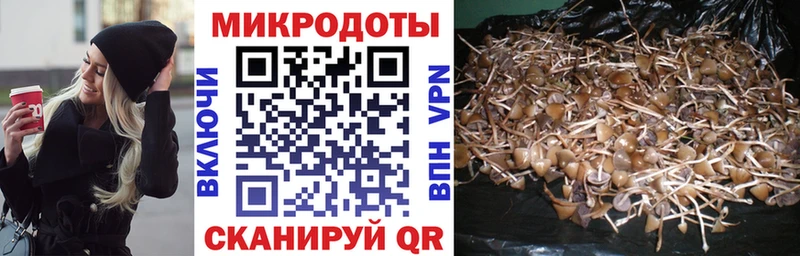 Галлюциногенные грибы мицелий  цена   Новоаннинский 